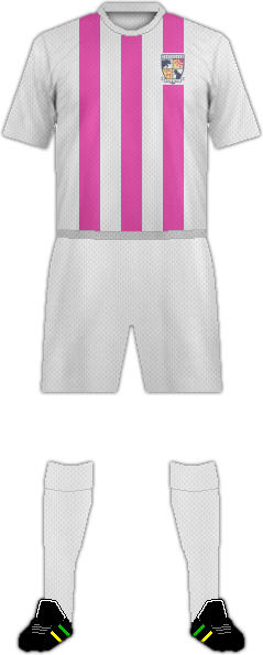 Equipación TEGEVAJARO MIYAZAKI(JPN)