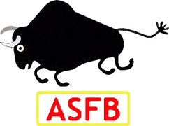 Escudo de ASFB BOBO DIOULASSO-min