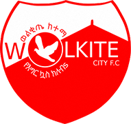 Escudo de WOLKITE CITY F.C.-min