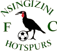 Escudo de NSINGIZINI HOTSPURS F.C.-min