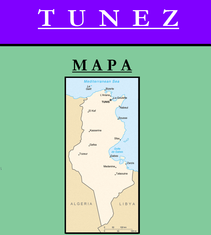Escudo de MAPA DE TÚNEZ