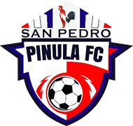 Escudo de SAN PEDRO PINULA F.C.-min