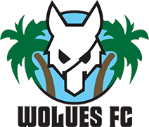 Escudo de WOLUES F.C.(IVB)-min