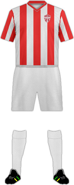 Equipación GAÚCHO F.C.(BRA)