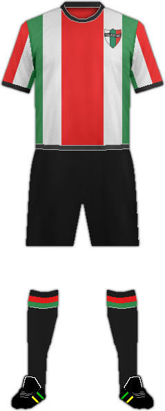 Equipación C.D. PALESTINO-