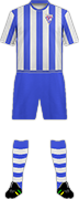 Camiseta PELAYO F.C.-min