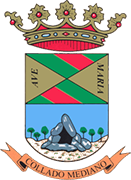 Escudo de A.D. COLLADO MEDIANO-min
