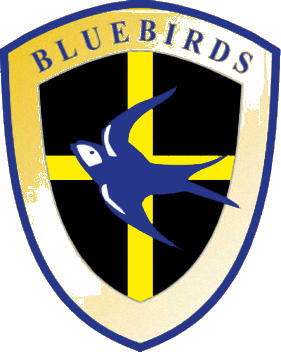 Escudo de CARDIFF CITY FC-1 (GALES)