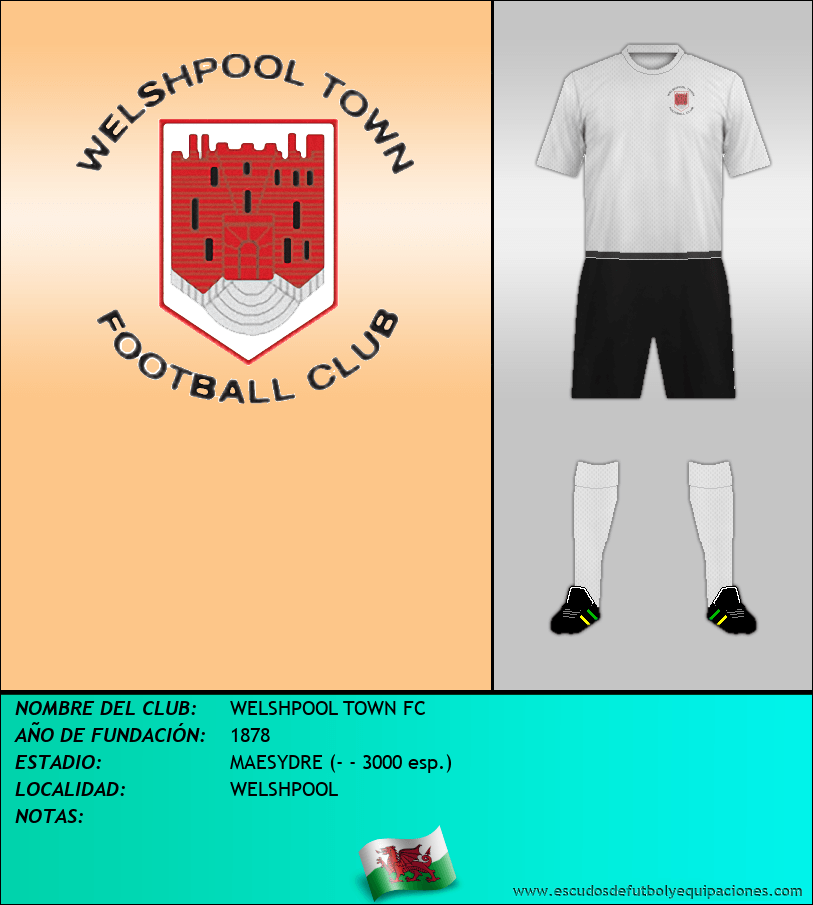 Escudo de WELSHPOOL TOWN FC