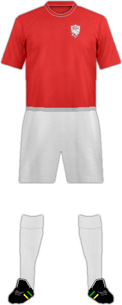 Equipación JERSEY BULLS F.C.