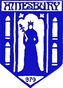 Escudo de AMESBURY TOWN F.C.-min
