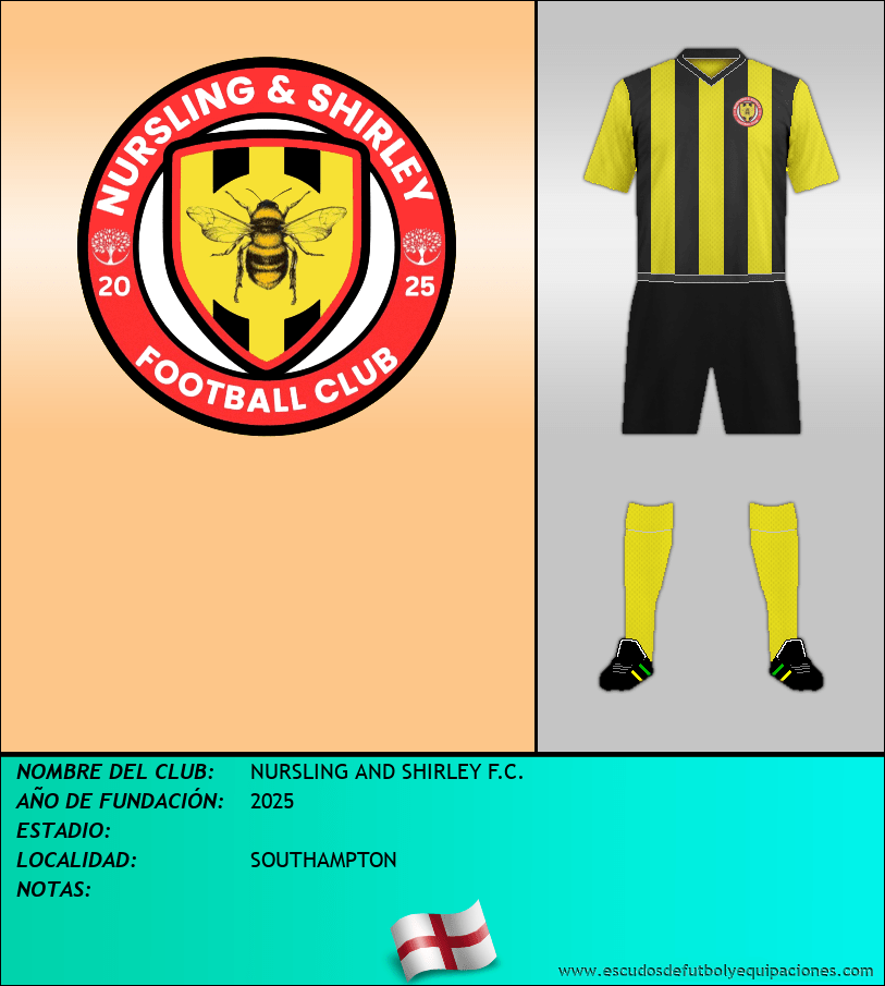 Escudo de NURSLING AND SHIRLEY F.C.