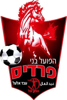 Escudo de HAPOEL BNEI FUREIDIS FC (ISRAEL)