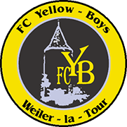 Escudo de FC YELLOW BOYS-min