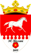 Escudo de FC RISCANI-min