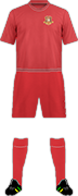 Equipación DANDONG TENGYUE F.C.