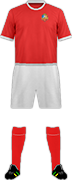Equipación HUNAN BILLOWS F.C.