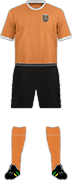 Equipación QUINGDAO FULI F.C.
