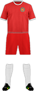 Equipación WUHAN JIANGCHEN F.C.