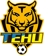 Escudo de NANJING TEHU F.C.