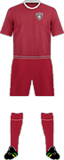 Equipación F.C. NARASHINO