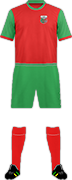 Equipación KOKOMO VIPERS F.C.