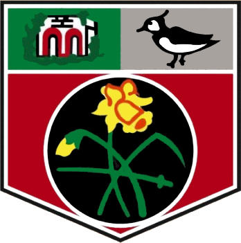 Escudo de UNDY ATHLETIC FC (GALES)