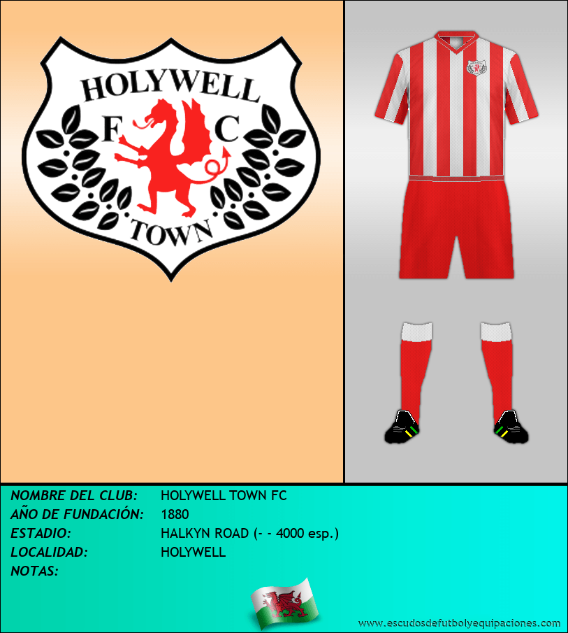 Escudo de HOLYWELL TOWN FC