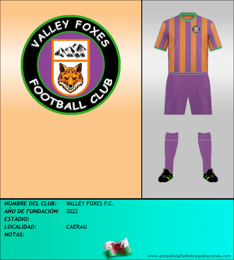 Escudo de VALLEY FOXES F.C.