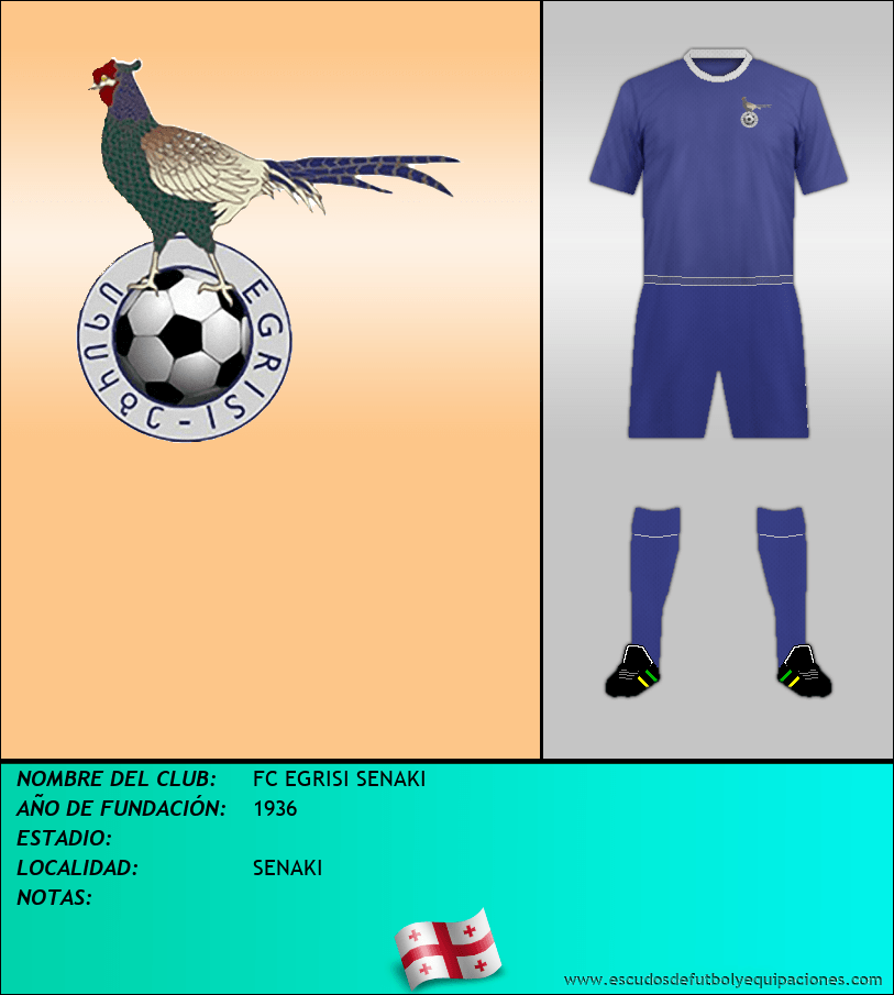 Escudo de FC EGRISI SENAKI