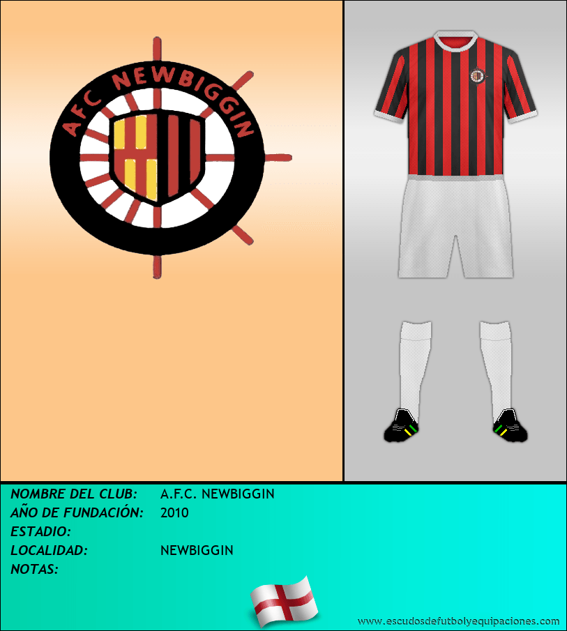 Escudo de A.F.C. NEWBIGGIN